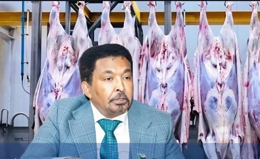 وزير الثروة الحيوانية : شروط سعودية وراء توقف صادرات اللحوم ونعمل على تأهيل مرافق الإنتاج الحيواني